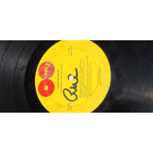 Vtg Marvin Gaye Recorded Live On Stage Rare 33 RPM 12 Vinyl Album - Picture 8 of 16